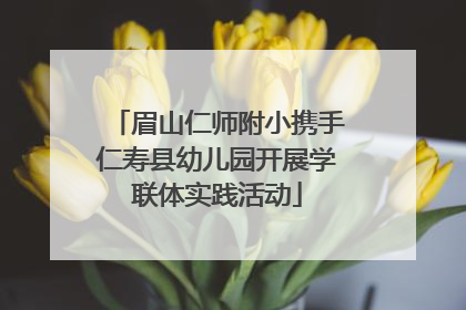 眉山仁师附小携手仁寿县幼儿园开展学联体实践活动