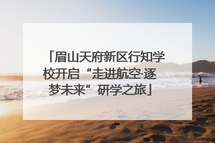 眉山天府新区行知学校开启“走进航空·逐梦未来”研学之旅