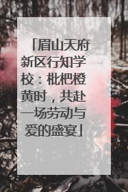 眉山天府新区行知学校：枇杷橙黄时，共赴一场劳动与爱的盛宴