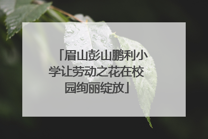 眉山彭山鹏利小学让劳动之花在校园绚丽绽放