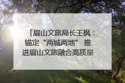 眉山文旅局长王枫：锚定“两城两地” 推进眉山文旅融合高质量发展｜文旅局长说