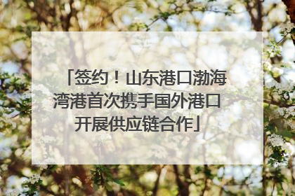 签约！山东港口渤海湾港首次携手国外港口开展供应链合作