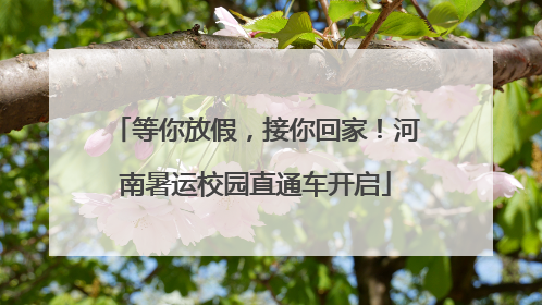 等你放假，接你回家！河南暑运校园直通车开启