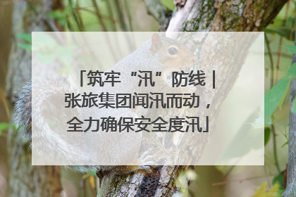 筑牢“汛”防线｜张旅集团闻汛而动，全力确保安全度汛