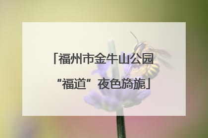 福州市金牛山公园“福道”夜色旖旎