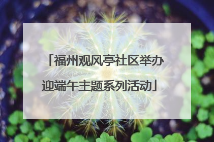 福州观风亭社区举办迎端午主题系列活动
