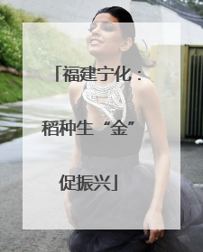 福建宁化：稻种生“金”促振兴