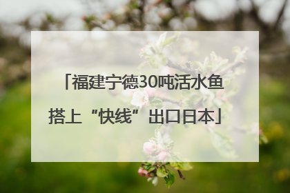 福建宁德30吨活水鱼搭上“快线”出口日本