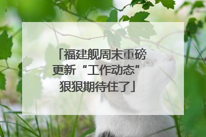 福建舰周末重磅更新“工作动态” 狠狠期待住了