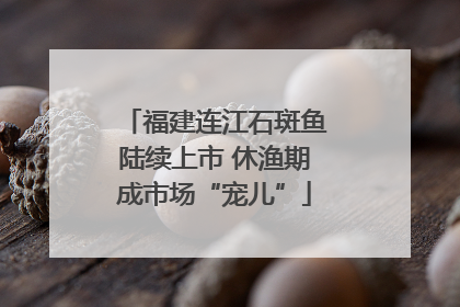 福建连江石斑鱼陆续上市 休渔期成市场“宠儿”