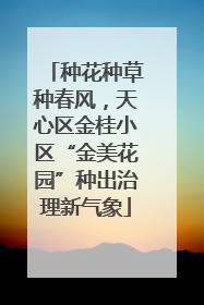种花种草种春风，天心区金桂小区“金美花园”种出治理新气象