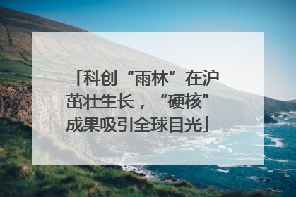 科创“雨林”在沪茁壮生长，“硬核”成果吸引全球目光