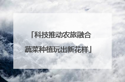 科技推动农旅融合 蔬菜种植玩出新花样