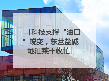 科技支撑“油田”蜕变，东营盐碱地油菜丰收忙