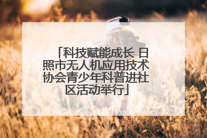 科技赋能成长 日照市无人机应用技术协会青少年科普进社区活动举行