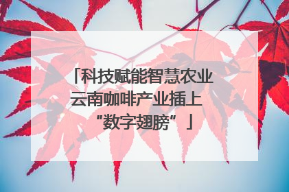 科技赋能智慧农业 云南咖啡产业插上“数字翅膀”