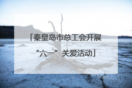 秦皇岛市总工会开展“六一”关爱活动