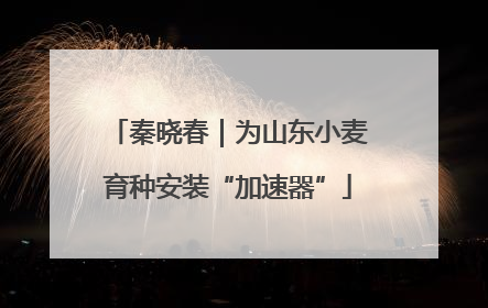 秦晓春｜为山东小麦育种安装“加速器”