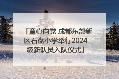童心向党 成都东部新区石盘小学举行2024级新队员入队仪式