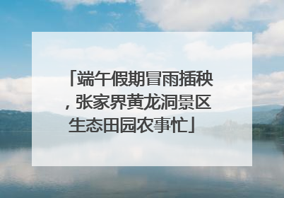 端午假期冒雨插秧，张家界黄龙洞景区生态田园农事忙
