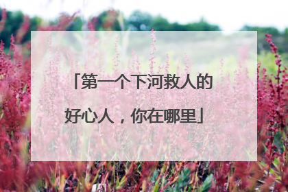 第一个下河救人的好心人，你在哪里