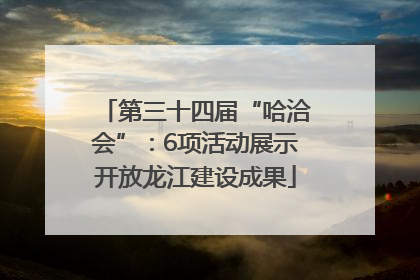 第三十四届“哈洽会”：6项活动展示开放龙江建设成果