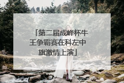 第二届成峰杯牛王争霸赛在科左中旗激情上演