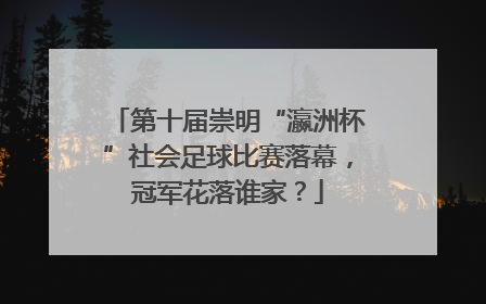 第十届崇明“瀛洲杯”社会足球比赛落幕，冠军花落谁家？