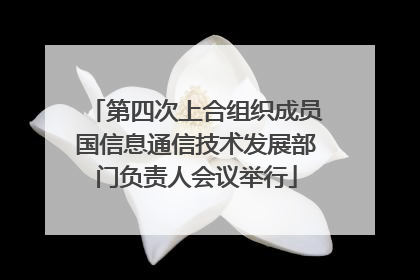 第四次上合组织成员国信息通信技术发展部门负责人会议举行