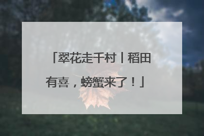 翠花走千村丨稻田有喜，螃蟹来了！