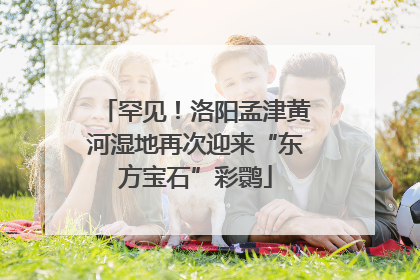 罕见！洛阳孟津黄河湿地再次迎来“东方宝石”彩鹮