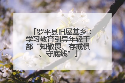 罗平县旧屋基乡：学习教育引导年轻干部“知敬畏、存戒惧、守底线”