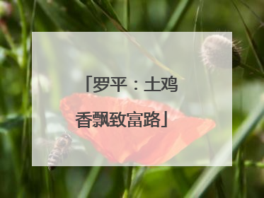 罗平：土鸡香飘致富路