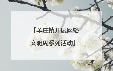 羊庄镇开展网络文明周系列活动