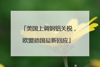 美国上调钢铝关税，欧盟德国最新回应