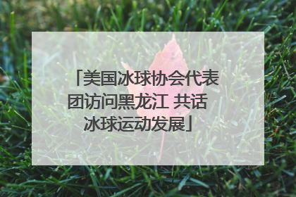 美国冰球协会代表团访问黑龙江 共话冰球运动发展