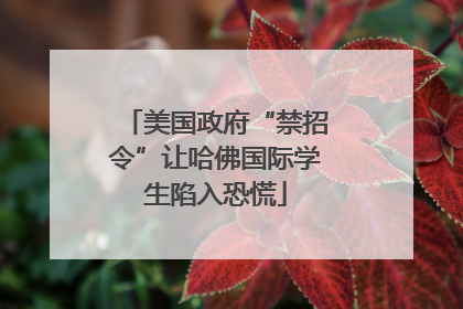 美国政府“禁招令”让哈佛国际学生陷入恐慌