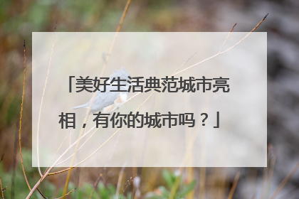 美好生活典范城市亮相，有你的城市吗？