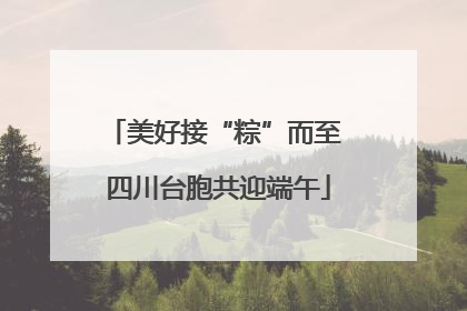 美好接“粽”而至 四川台胞共迎端午