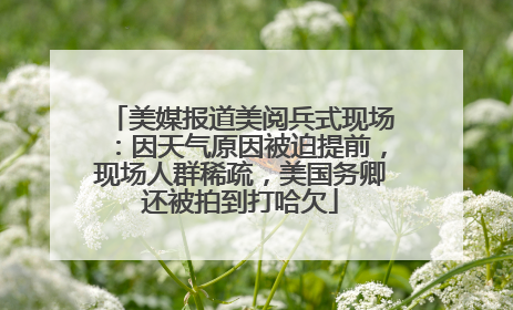 美媒报道美阅兵式现场：因天气原因被迫提前，现场人群稀疏，美国务卿还被拍到打哈欠