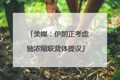 美媒：伊朗正考虑铀浓缩联营体提议