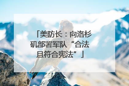 美防长：向洛杉矶部署军队“合法且符合宪法”