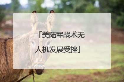 美陆军战术无人机发展受挫