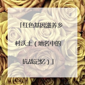 红色基因滋养乡村沃土（地名中的抗战记忆）