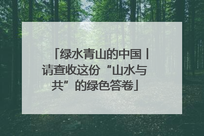 绿水青山的中国丨请查收这份“山水与共”的绿色答卷
