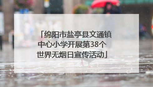 绵阳市盐亭县文通镇中心小学开展第38个世界无烟日宣传活动