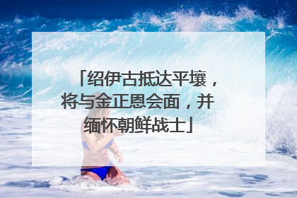 绍伊古抵达平壤，将与金正恩会面，并缅怀朝鲜战士
