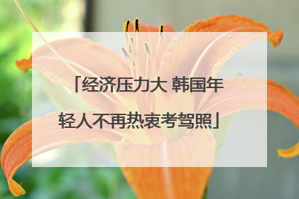 经济压力大 韩国年轻人不再热衷考驾照