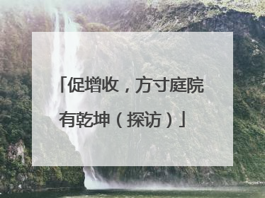 促增收，方寸庭院有乾坤（探访）