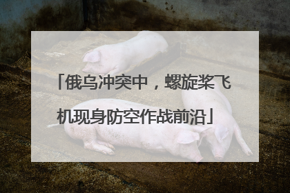 俄乌冲突中，螺旋桨飞机现身防空作战前沿